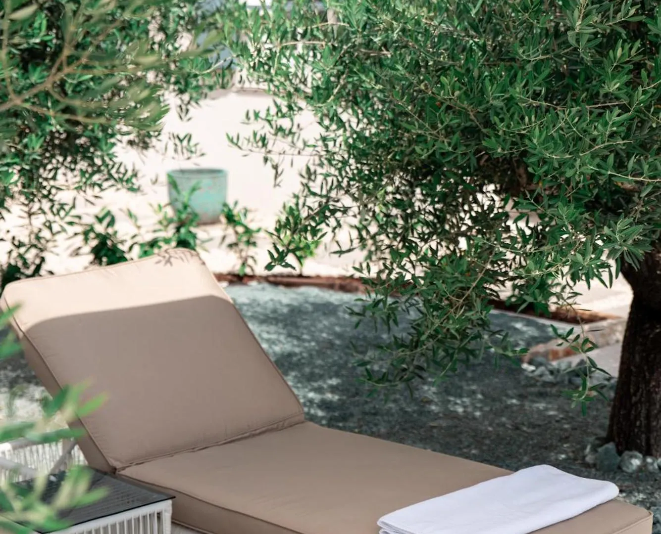 Casa Leccino Villa Brtonigla Croatia