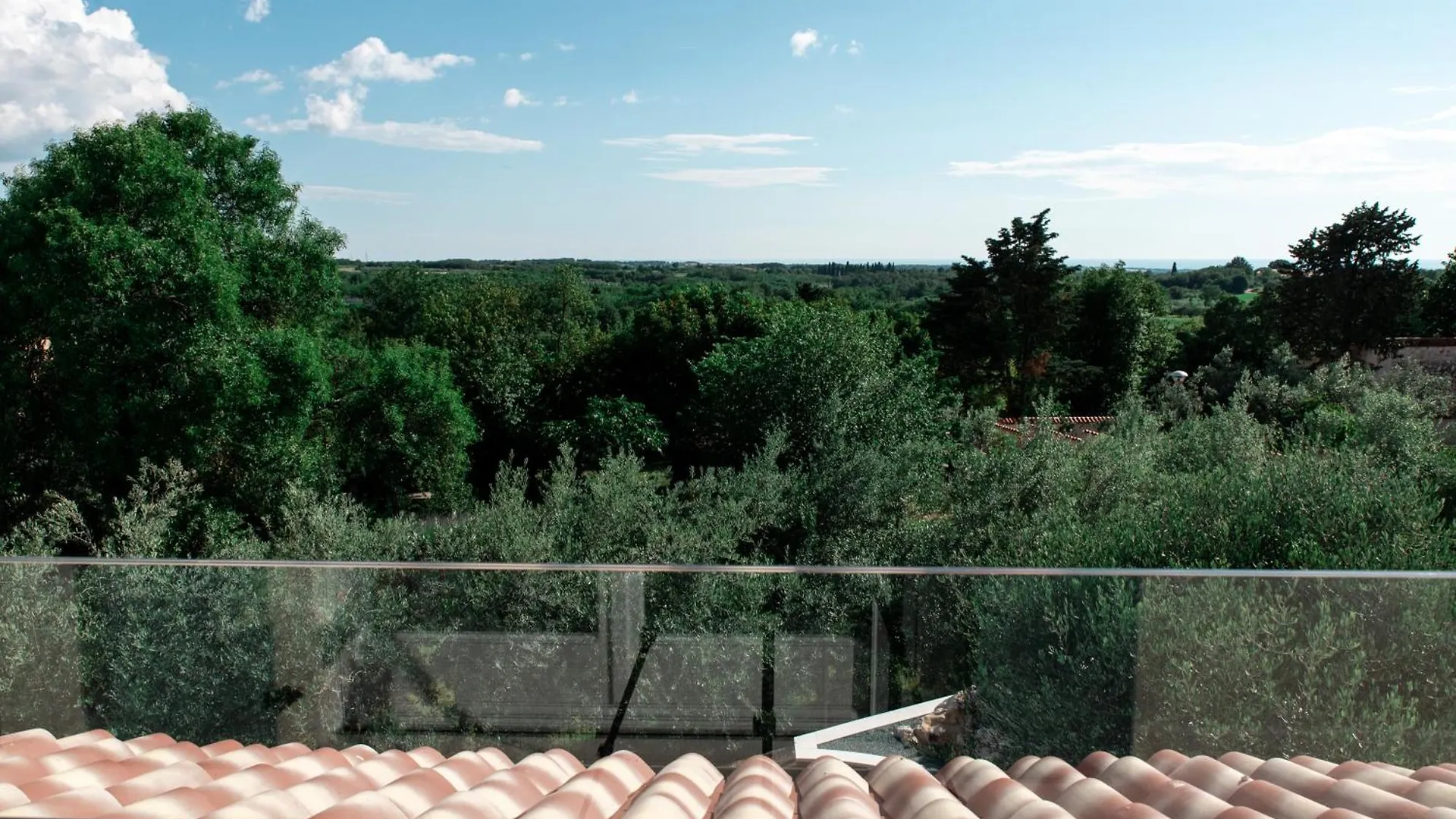 Casa Leccino Villa Brtonigla